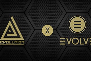Introduction to Evolve