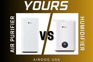 Air Purifier vs Humidifier: Choosing the Right Indoor Solution for Your Needs