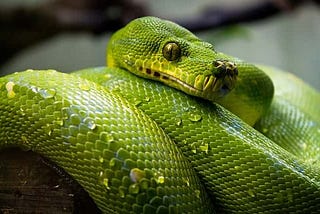 Python Dict Comprehension