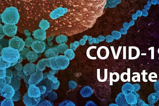 According to the team’s findings, a Covid-19 infection generally begins when