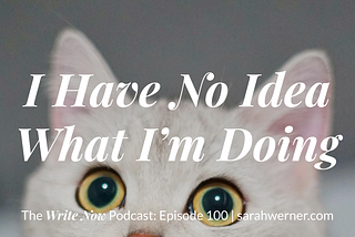 I Have No Idea What I’m Doing — WNP 100
