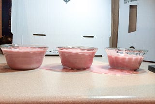 raspberry panna cotta