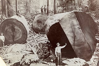 The history of the 20th century by NatGeo Found ❤