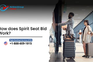 How does Spirit Seat Bid Work?