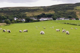 Six Years a Shepherd: The Life and Legend of Saint Patrick