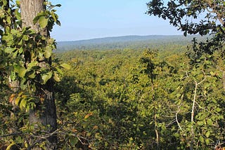 Rivers, Forests, Women: How The Hindu Society Often Defiles And Destroys What It Claims to Love And…