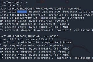 Linux işletim sisteminde Network trafiğini Monite etme ve Kaydetme