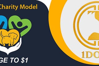 How 1Doge contributes to Charity
