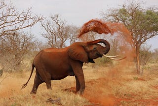 Objetivo: Mover el elefante