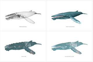Efficient representations for 3D content understanding