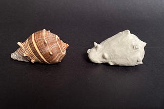 Shell and Soap Forms