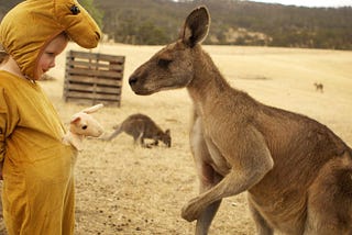 Успех нативной рекламы в Австралии: Меньше разговоров о себе и больше внимания нуждам клиентов.