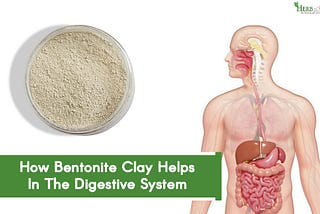 How Bentonite Clay Helps In The Digestive System