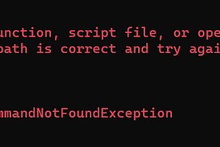 npm error