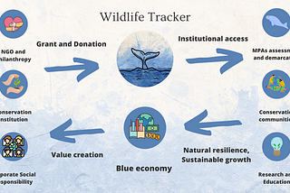 The Blue Economy Model of the Wildlife Tracker for Oceans