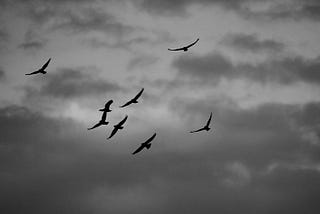 I took my time learning how to forgive… but death didn’t wait for me