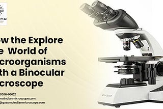 How The Explore The World Of Microorganisms With A Binocular Microscope