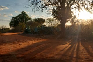 Beautiful Red Africa — Our Evening Walk In The Middle of Nothing
