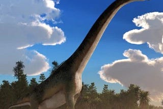 Why Did Some Dinosaurs Have Feathers While Others Had Scales?