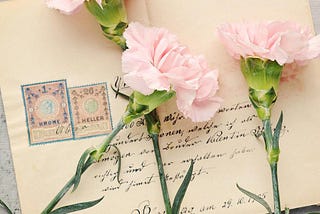 Three ponk carnations sitting upon an envelope.