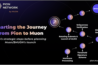 Charting the Journey from Pion to Muon