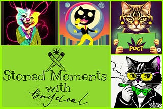 Stoned Moments — Discovering I’m a Cat Person