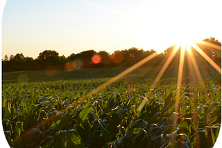 Because “We All flourish or decline with the farmer” (Bernard Baruch)