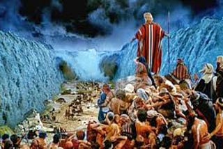 Absurdities in the Book of Exodus and the Forty Year Journey