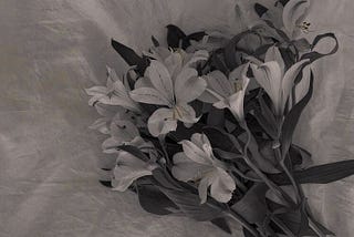 Hidden pearls of surah Fatiha: wisdom we overlook easily but holds extreme power.