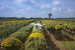 The Rise of Agritech in Africa and everywhere