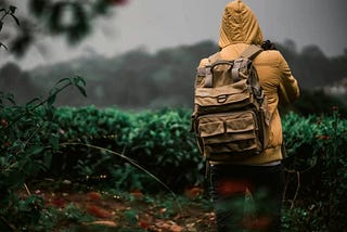Best Saltwater Fishing Backpacks With Rod Holders 2024