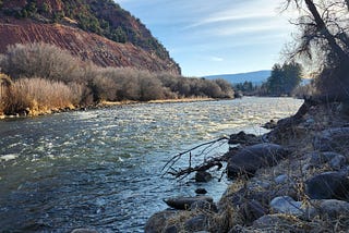 A Freedom Stream