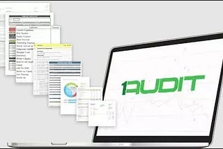 External auditor