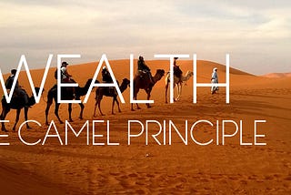 WEALTH:The Camel Principle-Pastor Mercy Githinji