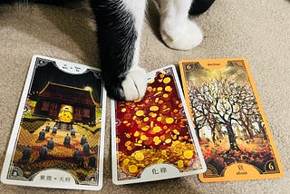 昨天下午上牌卡課跟夥伴對練，我們輪流留抽三張牌，讓對方解題。