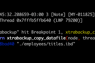 GDB Advanced Techniques: Expanding GDB Functionality with Custom Function Execution