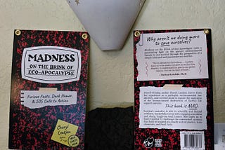 𝗧𝗛𝗘 𝗠𝗔𝗗𝗡𝗘𝗦𝗦 𝗧𝗛𝗔𝗧 𝗡𝗘𝗔𝗥𝗟𝗬 𝗗𝗜𝗗 𝗠𝗘 𝗜𝗡