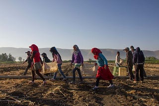 Syrian children in Lebanon forced to seek work/ The Guardian