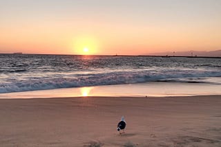 Sunsets Change With the Seasons