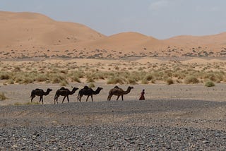 A Man of Morocco