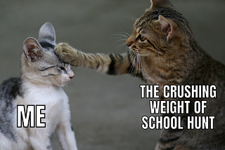I Never Knew That Finding a School Is This Hectic…