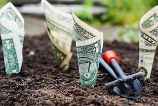 Imagem com notas de dólar simulando a plantação de um futuro financeiro.