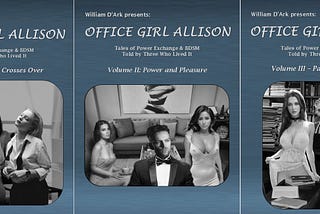 The Popular Office Girl Allison Series