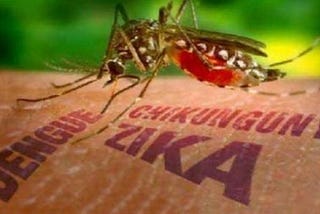 Cuba Ready for Any Evidence of Zika Virus