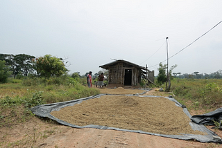 Building Resilience of Women in Agriculture