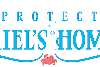 A banner featuring “Protect Ariel’s Home” in blue font as well as illustrations of crabs, coral reefs, fish, starfish, and water bubbles.