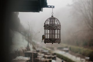 The Adaptation Trap