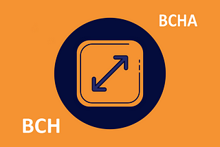 How to properly split BCHA coins — BCH Hardfork 15 Nov 2020