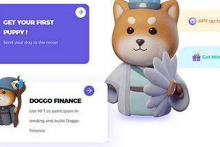 First CoPuppy NFT Doggy game on Binance Smart Network