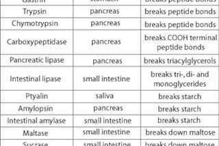 Diagram of digestive enzymes , their role, and their location.